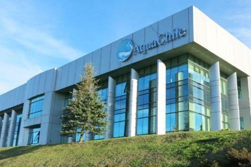 AquaChile trykker nye aksjer: Jakter 245 millioner dollar
