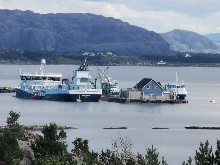 Nytt underskudd for Blom Fiskeoppdrett: – Ikke fornøyd