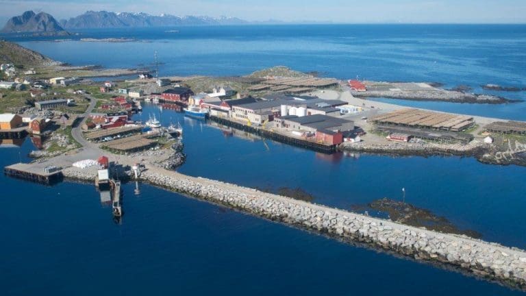 Vil bygge ny mel- og oljefabrikk for 400 millioner kroner