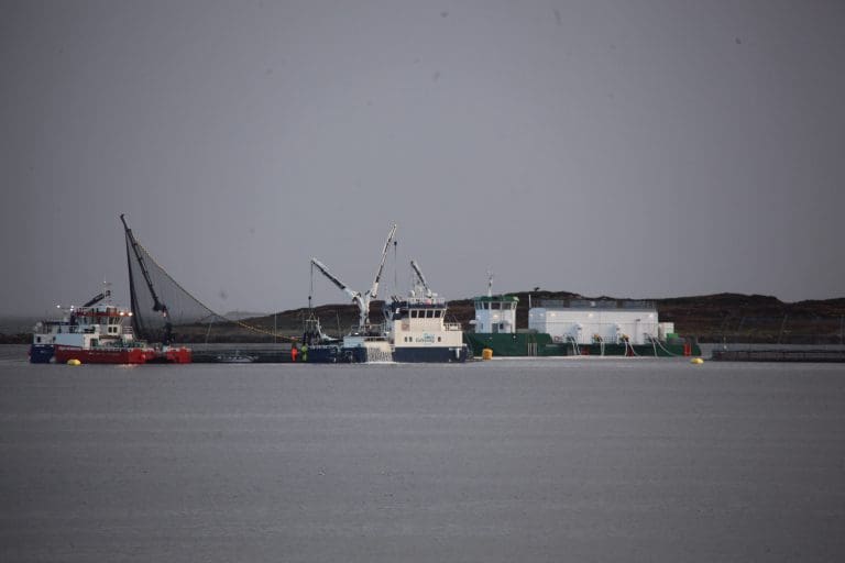 Nytt biomassehopp etter salg av 229.000 tonn fiskefôr i oktober