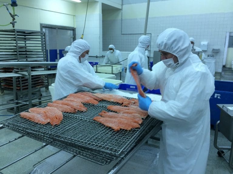 Chilensk oppdretter vil firedoble frysekapasiteten