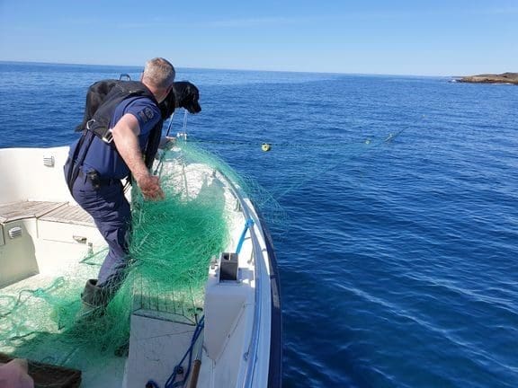 Økende trend: 78 anmeldelser for ulovlig laksefiske så langt i år