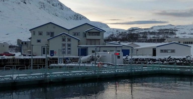 Arnøy Laks: – Vi er svært lei oss for at vi kom skjevt ut i denne saken