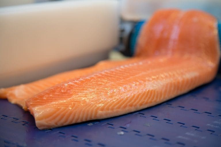 Fileteksporten tar av i et marked som flyter over av &laquo;prodfisk&raquo;