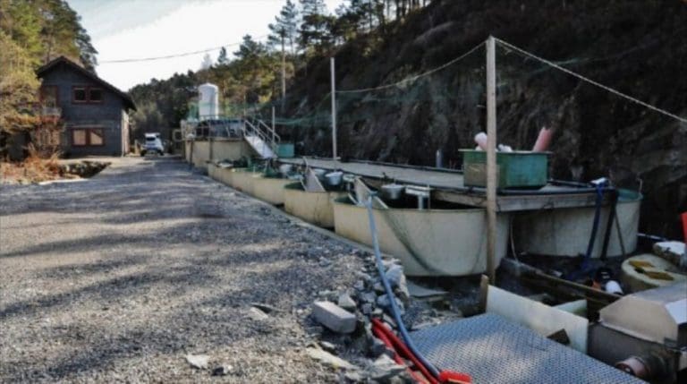 Dåfjorden Klekkeri konkurs