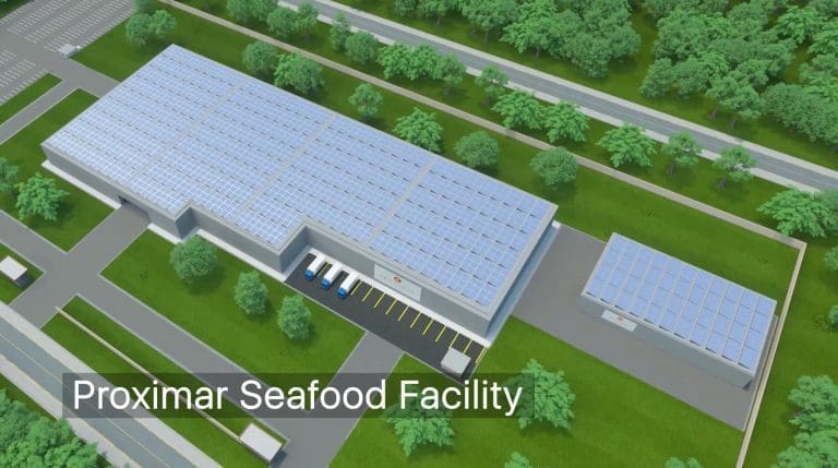 Proximar Seafood sikter på å slakte sin første laks i Japan om tre og et halvt år