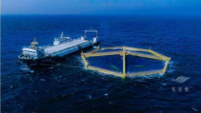 Neste måned vil 200.000 laks sendes til slakt fra den kinesiske offshorefarmen “Deep Blue 1”