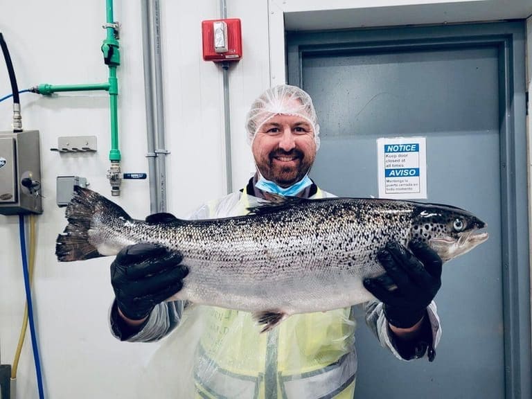 Atlantic Sapphire-gründer vil produsere matfisk på land hjemme på Daugstad