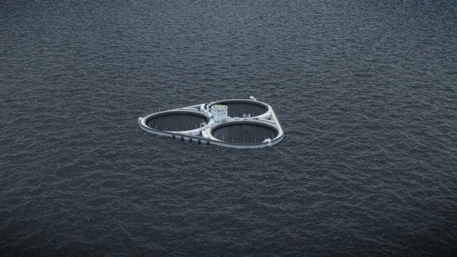Astafjord Ocean Salmons betongmerder kapret fire utviklingskonsesjoner