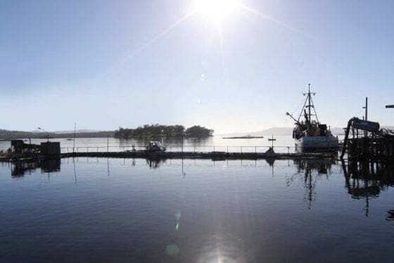 Stjal hagle og hundrevis av eksplosiver fra oppdrettsanlegg
