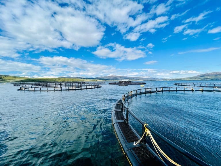 Wenberg om fjoråret: – Det er to ting som påvirker oss