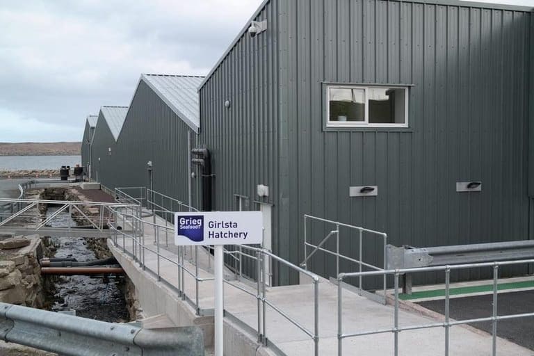Grønt lys for oppkjøpet av Grieg Seafood Hjaltland