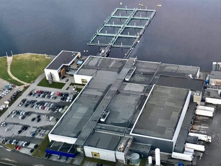 SalMar trenger mer tid til fusjonen med NRS
