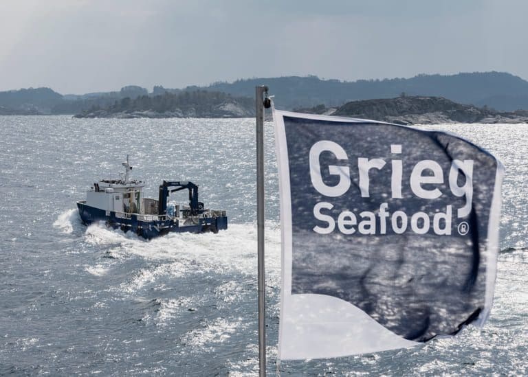– En del håper og tror at deler av eller hele selskapet skal selges