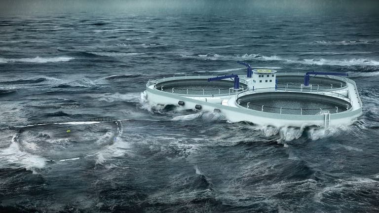 Kleiva og Gratanglaks vant frem med klage – får åtte utviklingskonsesjoner for ØyMerd