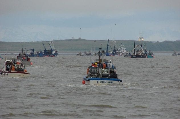 Tidenes sockeye-sesong i Bristol Bay