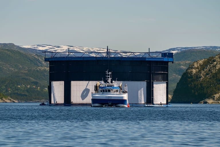 Aquatraz og Midt-Norsk Havbruk: – Kan ha løst den gordiske knuten