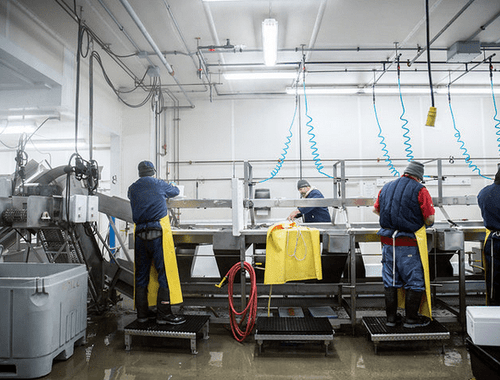 Rekordprisene holder seg inn i neste uke