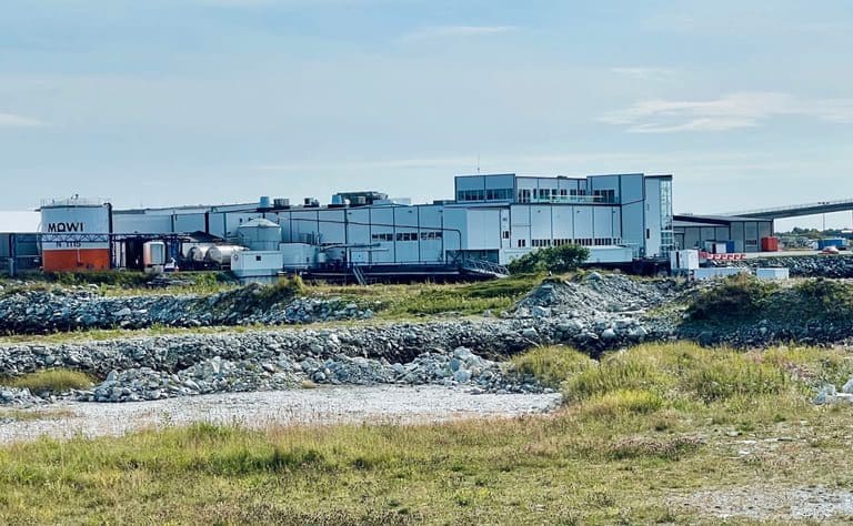 DNB Markets ser vesentlig høyere prisbane for laks – og oppgraderer Mowi, SalMar og Bakkafrost