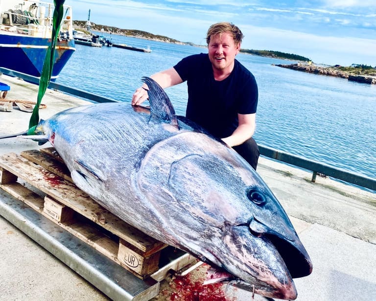 Makrellstørje på 270 kilo rett i nota til Måsøval på Frøya