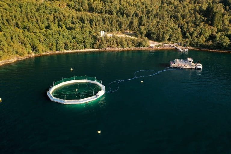 Skatteforlik kan åpne for lukket teknologi