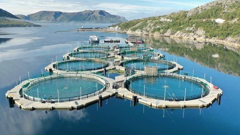 Akvafuture: – Vi er svært godt fornøyd med å levere 84 millioner på bunnlinjen
