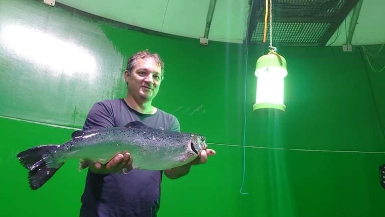 Tomtekupp i Hardanger: Han advarte andre om salg, men gründeren valgte likevel å selge BioFish-aksjer