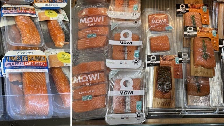 Bikker 250 kroner: Ny toppnotering for Mowi