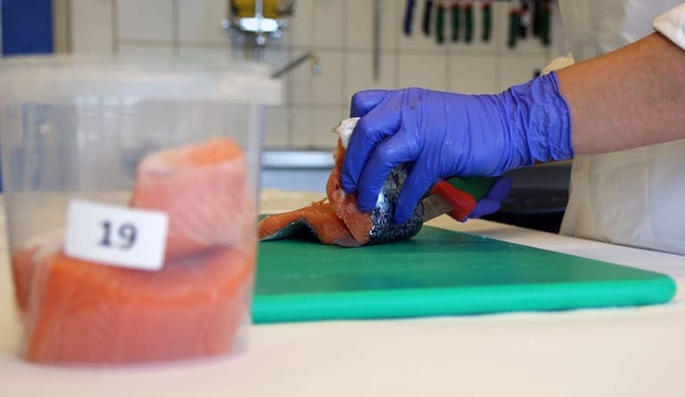 Havforskningsinstituttet: Ingen funn av ulovlige stoffer eller legemidler i oppdrettslaksen