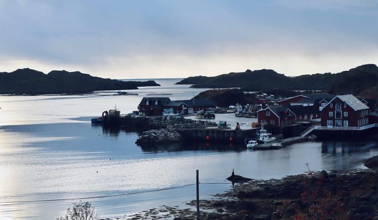 En person pågrepet i politirazzia hos Isqueen