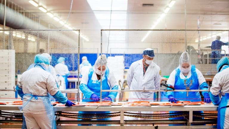 Milarex: Fordobling av listeria i fersk norsk laks