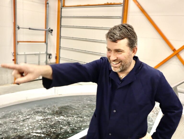 Ny milepæl for AquaGen da stamfisken kom tilbake til Grieg i Erfjord