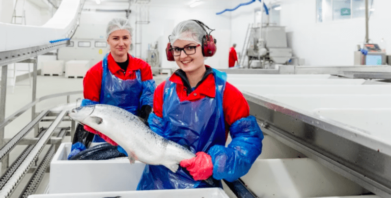 Nå vil hun skjære egen filet, og sende den med fly ut i markedet
