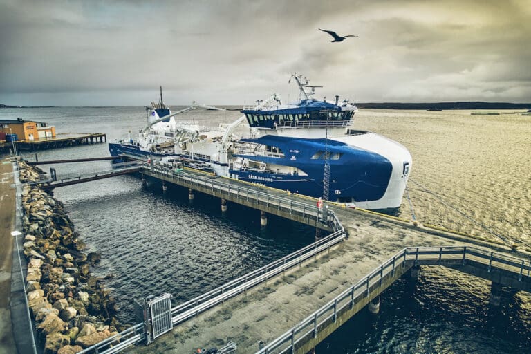 Utvask og hoderulling i NTS