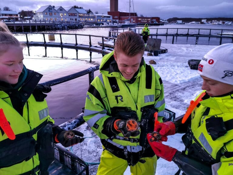Rekordhøye søkertall til de private havbruksskolene. Andelen jenter er også økende