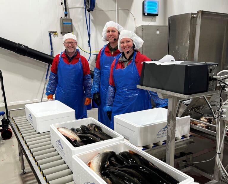 Pengejakt for å tidoble produksjon av røye