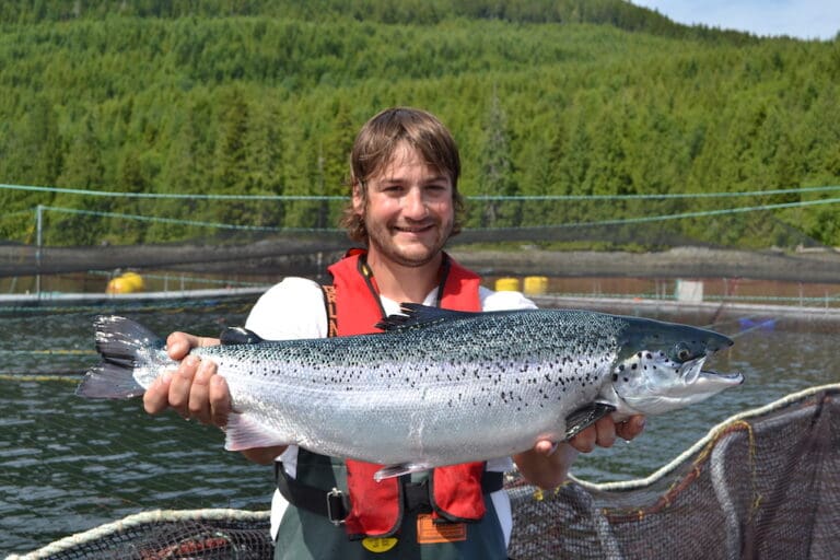 Rettslig kjennelse velter plan om å fjerne oppdrettsanlegg fra British Columbia