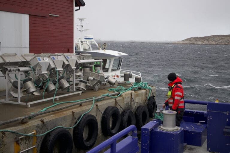 Måsøval samler alle matfiskkonsesjoner og biomasse i ett selskap