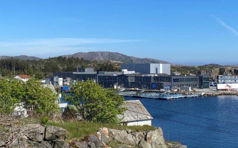 Topplinjevekst var ikke nok. Lønnsomheten falt for Firda Sjøfarmer