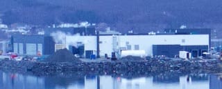 Forsert utslakting i nord gir nedsiderisiko