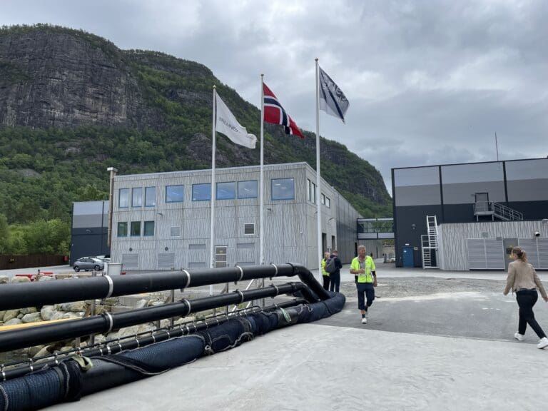Finanskostnadene tynget Tytlandsvik Aqua-resultatet