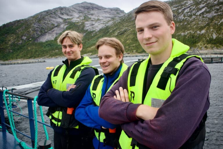 Ellingsen i Tysfjord: Nettet skaper mer trøbbel enn lusa