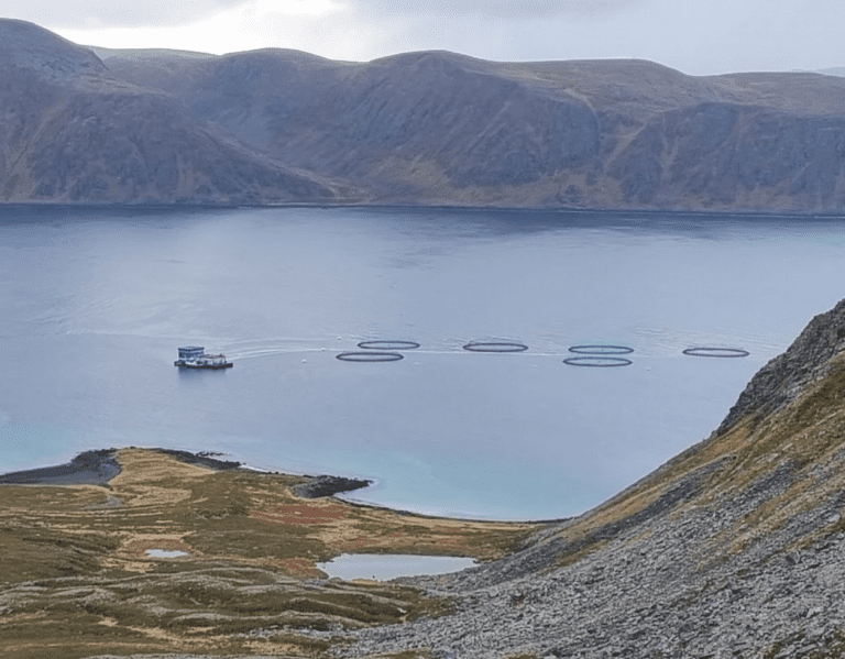 Rykter om oppkjøpsbud på Finnmark-virksomheten til Grieg Seafood