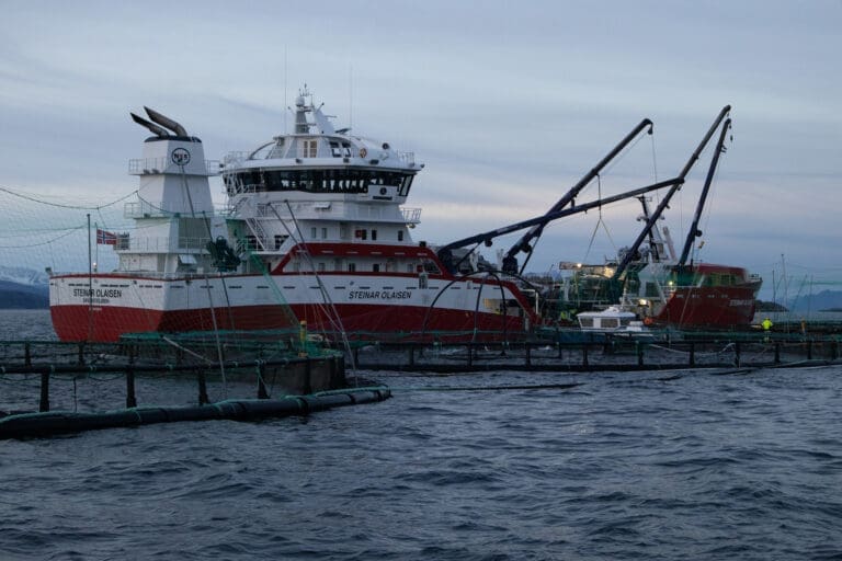 Lite lakselus i nord og sør, men fortsatt høyt lusepress på Vestlandet