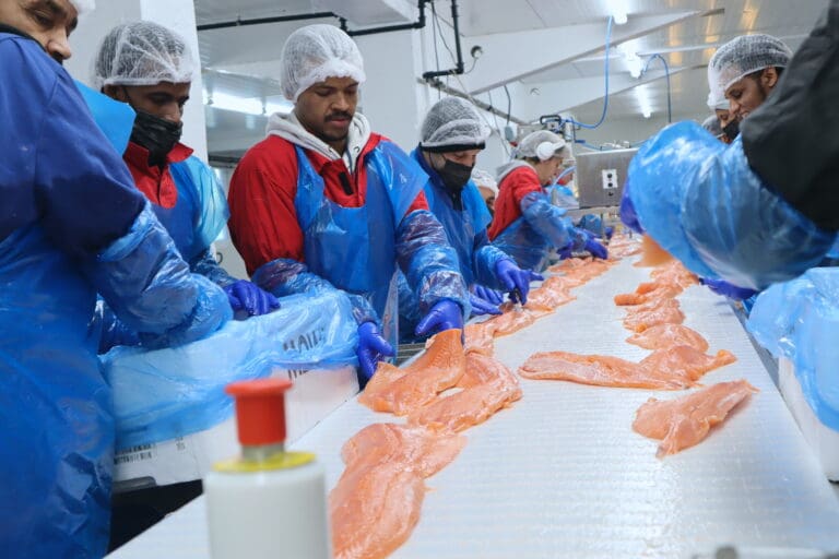 Kampen om &laquo;prodfisken&raquo;: – Det handler også om arbeidsplasser