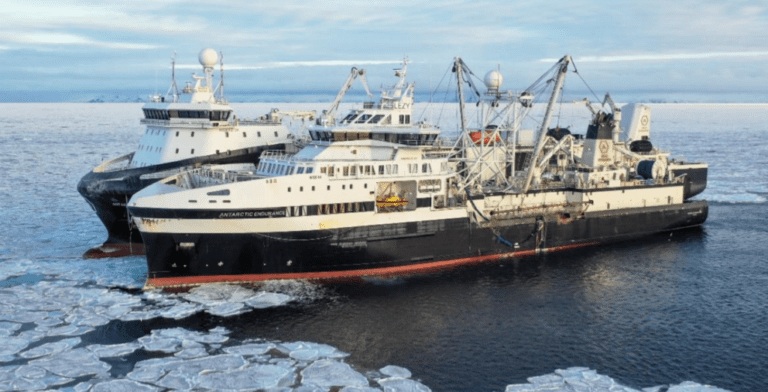 Kraftig resultatvekst for Aker BioMarine, som åpner for nytt salg av virksomhet