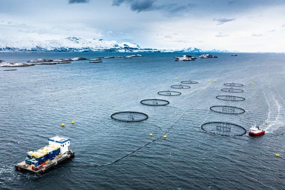 Aker BioMarine søker på forskningstillatelser til lakseoppdrett