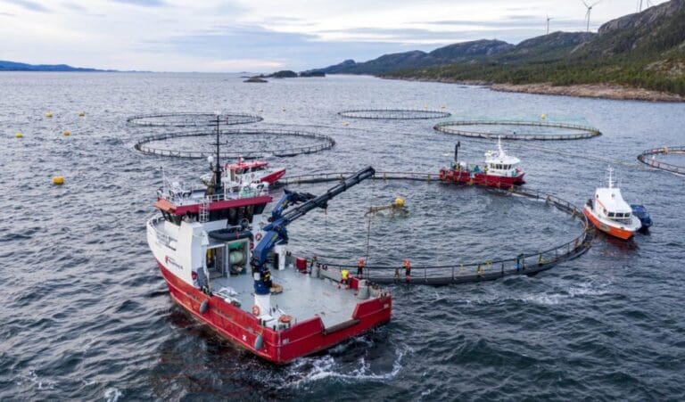 SinkabergHansen vil la all sjøsatt fisk stå skjermet i løpet av neste år