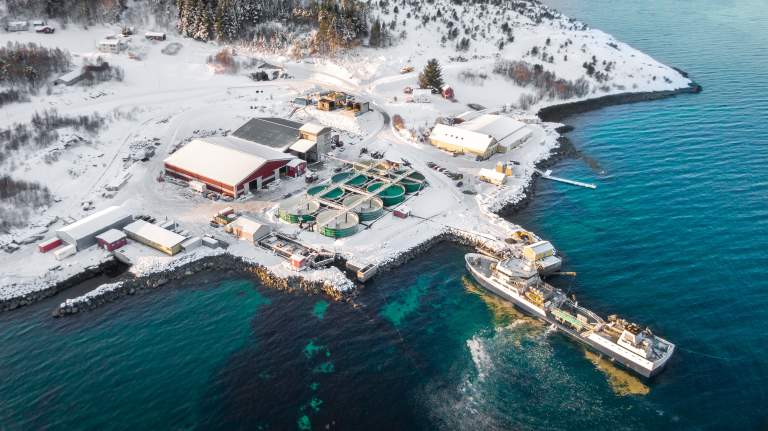 Lumarine varsler tunge tap og restrukturering etter at Mowi-kontrakt gikk i vasken