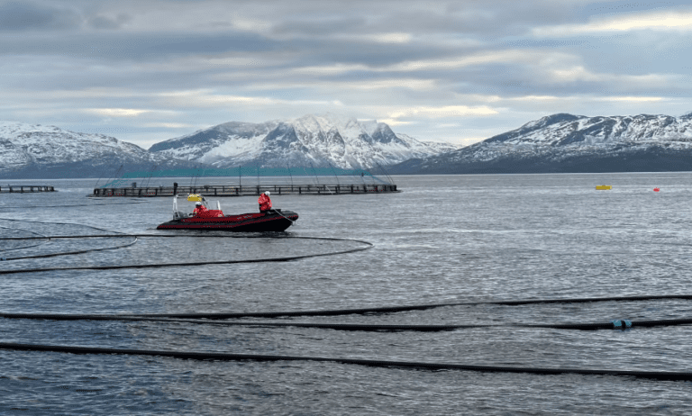 Folla Alger og Cermaq tester ut nytt kombinert anlegg for laks og tare